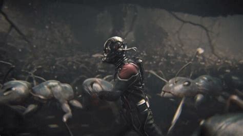 Training With The Ants Ant Man Film Clip Disney Video