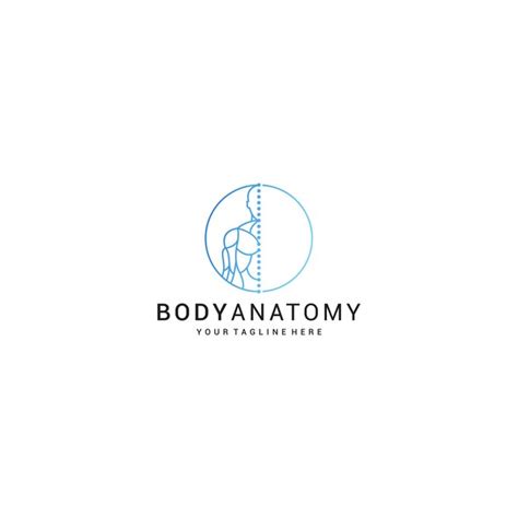 Premium Vector Body Anatomy Logo Design Icon Vector