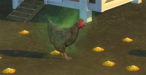 Sims 4 Cottage Living How To Clean Your Chickens