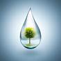 Water Requirements For Garden Vegetables