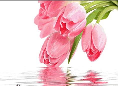Lots Of Love On Tulip Day Free Tulip Day Ecards Greeting Cards 123
