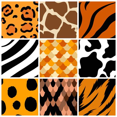 Set Of Seamless Animal Print Pattern Vectors Download Free Vectors