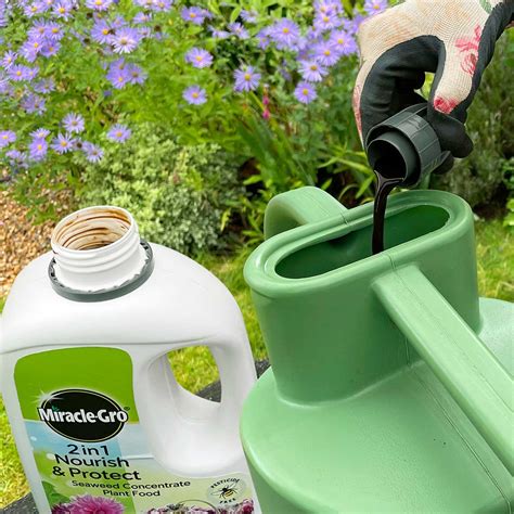 Miracle Gro 2 In 1 Nourish And Protect Seaweed Plant Food 800ml