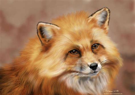 Fluffy Little Fox By Steffchep On Deviantart