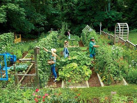 Steal These Secrets For Growing Your Own Veggie Patch