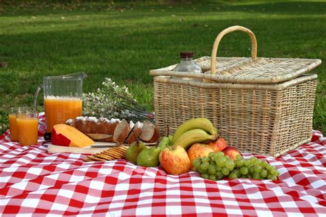 Summer Picnic Safety Tips Newsletters