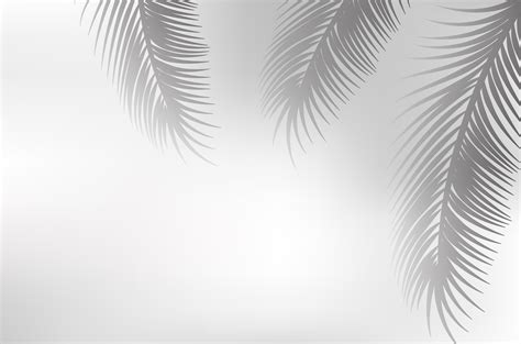 Palm Leaf Graphic Shadow 446557 Vector Art At Vecteezy