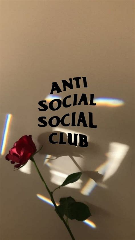 50 Aesthetic Wallpapers Antisocial 2022