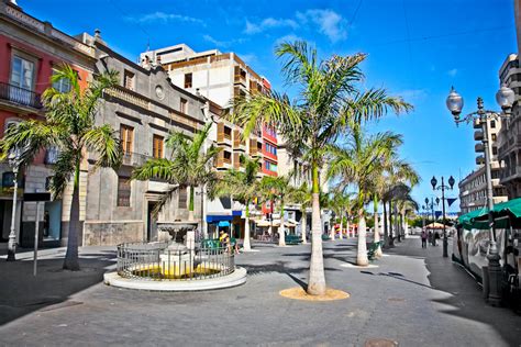Santa Cruz Tenerife • 2024 Qué Saber Antes De Ir Go Tenerife