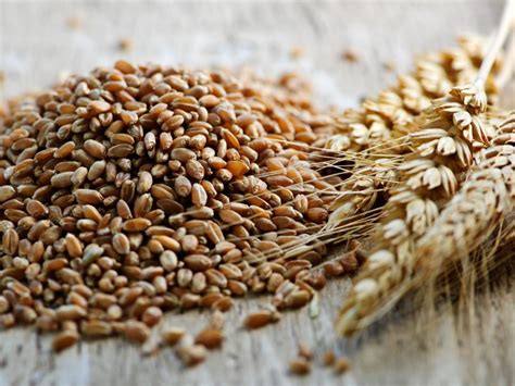 How to digest oily (fatty/greasy/junk/heavy/fried) food. Best Foods to Help You Digest Faster | Food Network
