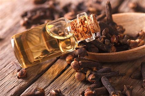 A cravo & canela é uma marca descomplicada, livre de preconceitos e que valoriza o real. Óleo de cravo: Conheça seus 8 benefícios para a saúde ...