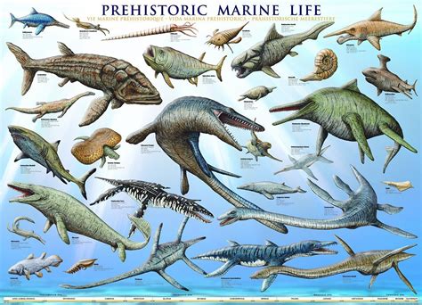 Ancient Marine Reptiles Of The Mesozoic Photo