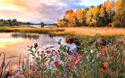 11 Best Places To See Fall Colours In Ontario Walkaboot Travel