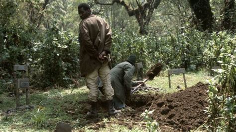 Bbc Earth The Woman Who Gave Her Life To Save The Gorillas
