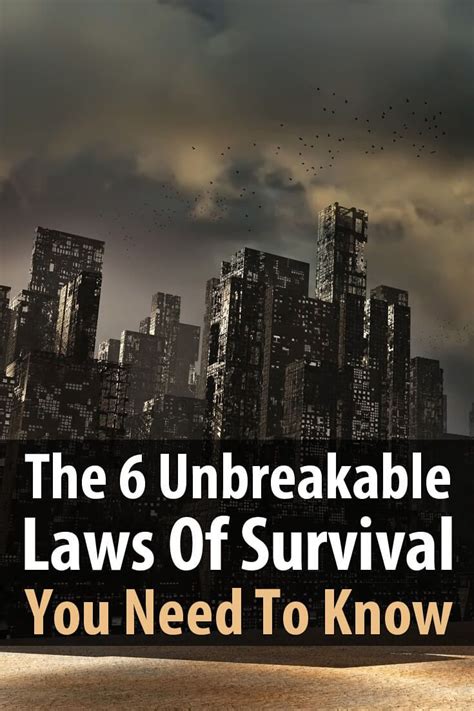 The 6 Unbreakable Laws Of Survival You Need To Know Survival