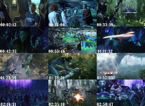 Jason Knight Descargar Avatar Extended Hd 1080p Mega Español Latino