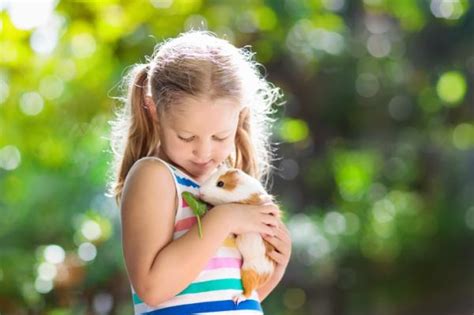 Las 5 Mejores Mascotas Para NiÑosas Para Tener En Casa Y Fáciles De