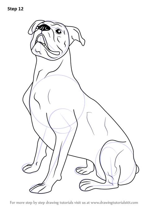 Learn How To Draw A Boxer Dog Farm Animals Step By Step Drawing