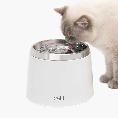 Catit Stainless Steel Drinking Fountain Drinking Fountain Cat Water