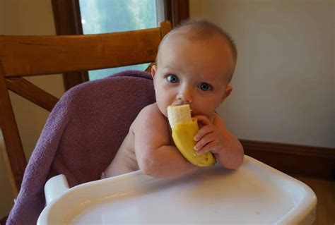 Aug 01, 2016 · while chicken is marinating, prepare the tzatziki sauce. 7 Baby Led Weaning 1st Foods To Make Starting Solids Easy ...