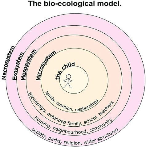 An Adapted Illustration Of Bronfenbrenner S Ecological Theory The