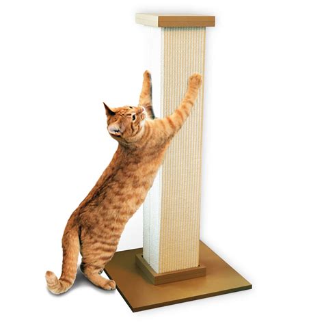 Best Scratching Post for Large Cats - Large Domestic Cats