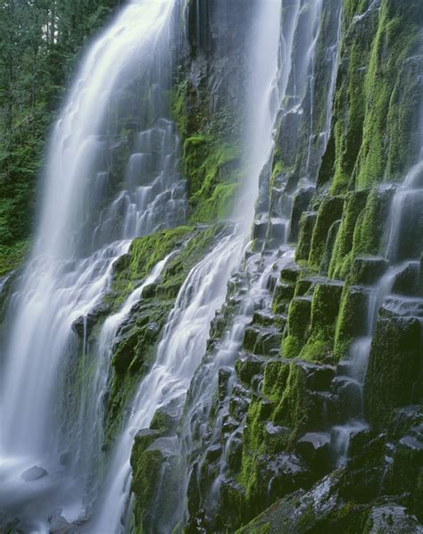 Oregon Willamette Nf Three Sisters Wilderness Lower Proxy Falls