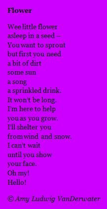 Your imagination will be your only limit. The Poem Farm: Flower - Poems of Address