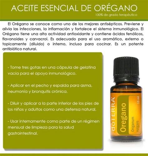 Los componentes fenólicos presentes en el orégano, carvacrol y timol principalmente, son los principales. ORÉGANO | Recetas de aceites esenciales, Aceite esencial ...