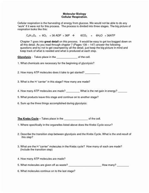 √ Photosynthesis Worksheet Pdf Answers Biointeractive Nilus Appletouch