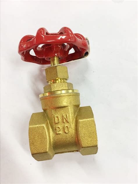 Engineering Brass Gate Valve Dn20 34 Bsp Equal Female Thread For