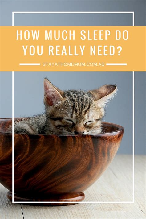 A 10 week old kitten has usually firmly found his feet in his new home. How Much Sleep Do We Really Need? - Stay at Home Mum