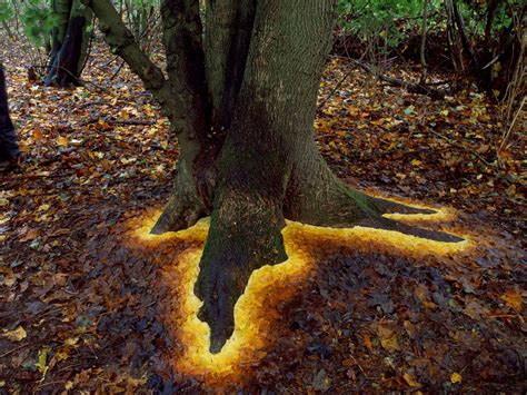 Andy Goldsworthys Ephemeral Works Artwork That Is A Testament To
