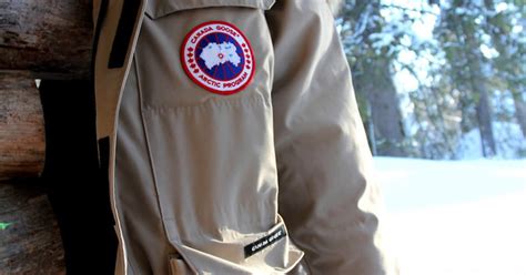 Why You Shouldn T Feel Bad About Coyote Fur On That Canada Goose Jacket