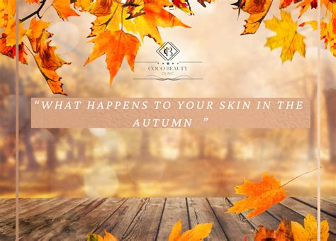 What Happens To Your Skin In The Autumn Coco Beauty Clinic