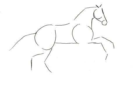 Sketching A Horse – How To Draw Horses