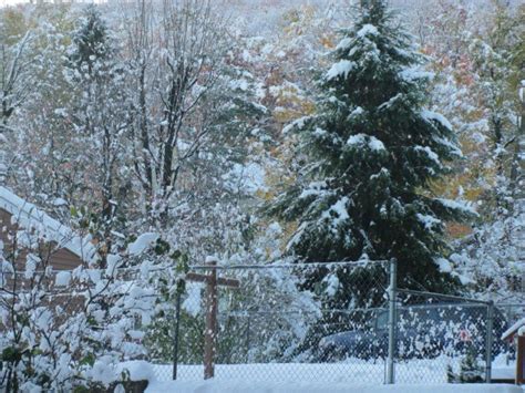Crazy Snow Storm October 29 2011 With Images Free Photo Gallery