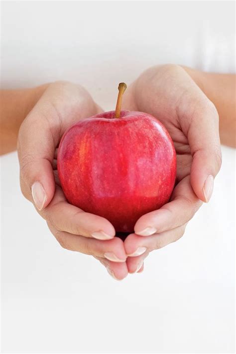Woman Holding Red Apple In Cupped Hands Photograph By Science Photo