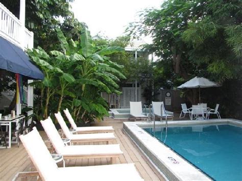 Pool And Jacuzzi Picture Of Alexanders Gay And Lesbian Guesthouse Key West Tripadvisor