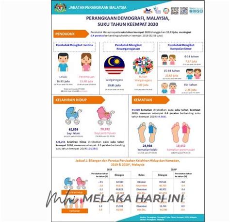 Komposisi penduduk malaysia berdasarkan suku bangsanya adalah terdiri dari 3 suku bangsa utama, yaitu melayu (54,6%), china (23,2%), india (7%) dan kelompok ini membentuk 68,8% dari populasi malaysia pada 2017 dibagi menjadi dan bumiputra lainnya. Populasi penduduk Malaysia kini 32.73 juta orang