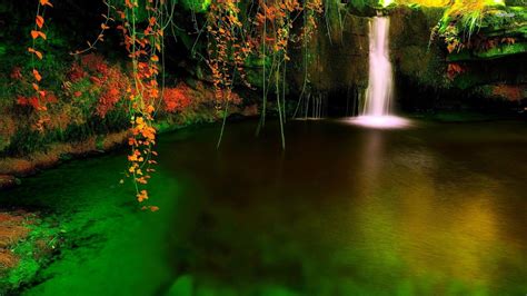 Cave Waterfall Wallpaper Free Forest Waterfall Waterfall Wallpaper Waterfall