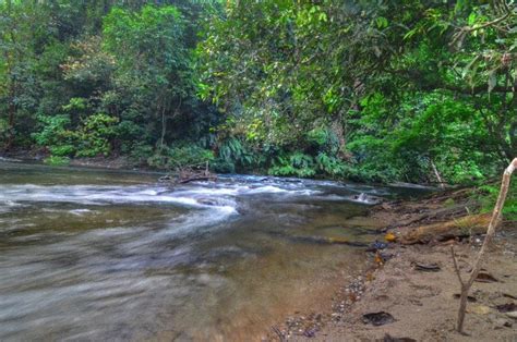 Jambatan menyeberangi sungai perak di antara kampung seberang manong ke pekan manong (kampung simpang melembu). Dimanakah Punca Sungai Perak Yang Sebenarnya? | Orang Perak
