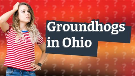 Do groundhogs live in Ohio? - YouTube