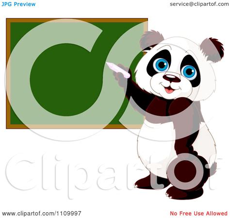 Clipart Cute Student Panda Writing On A School Chalk Board Royalty