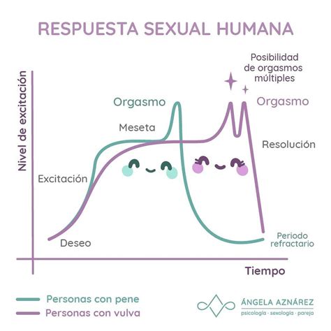 Respuesta Sexual Humana • Ángela Aznárez Sexología Y Psicología