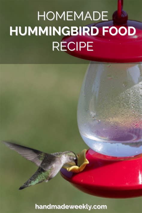 Homemade Hummingbird Food Recipe Handmade Weekly