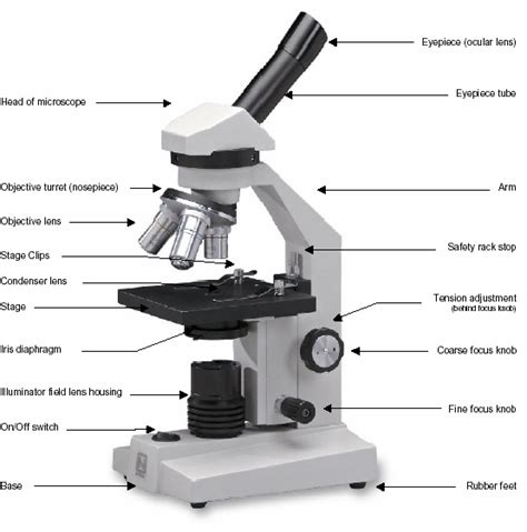 Compound Light Microscope Labeled Micropedia