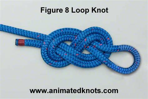 Figure 8 Follow Through How To Tie The Figure 8 Follow Through Knots