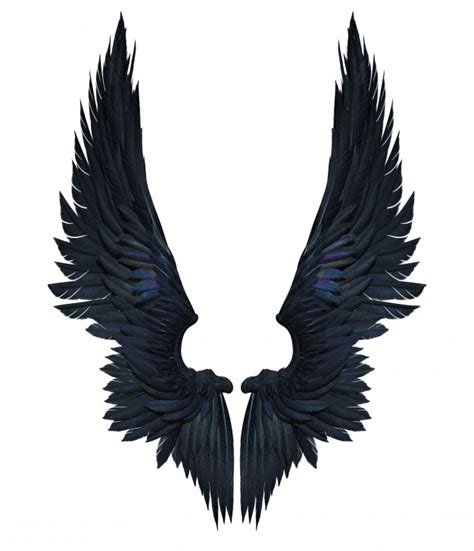 Download Premium Photo | 3d illustration demon wings, black wing ...