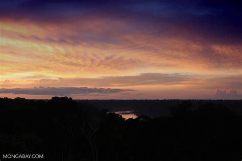 Sunset Over The Amazon Rainforest